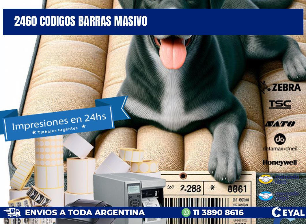 2460 CODIGOS BARRAS MASIVO