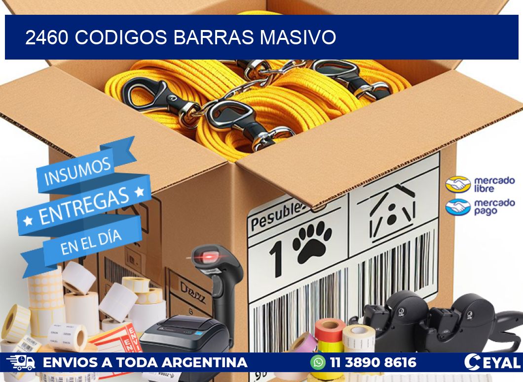 2460 CODIGOS BARRAS MASIVO