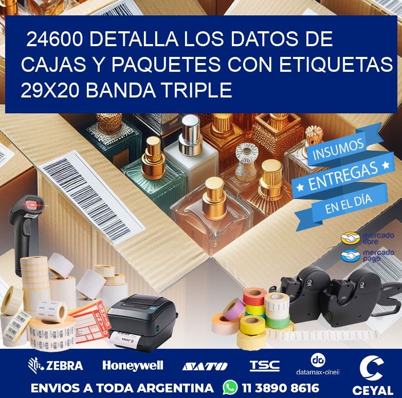 24600 DETALLA LOS DATOS DE CAJAS Y PAQUETES CON ETIQUETAS 29X20 BANDA TRIPLE