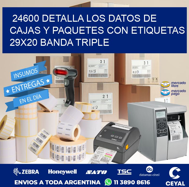 24600 DETALLA LOS DATOS DE CAJAS Y PAQUETES CON ETIQUETAS 29X20 BANDA TRIPLE