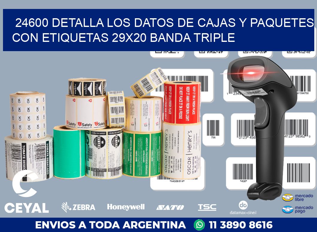 24600 DETALLA LOS DATOS DE CAJAS Y PAQUETES CON ETIQUETAS 29X20 BANDA TRIPLE