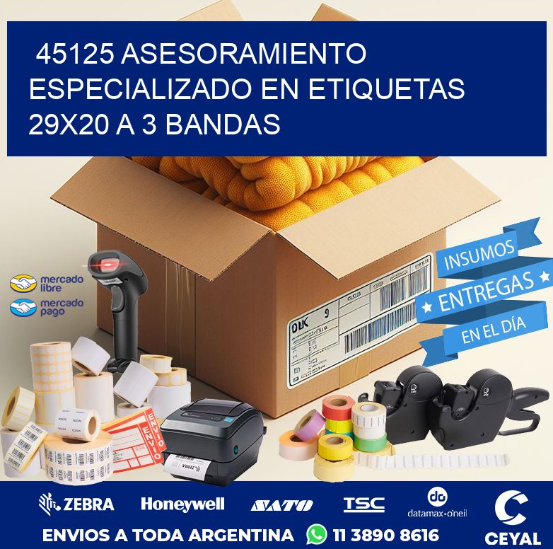 45125 ASESORAMIENTO ESPECIALIZADO EN ETIQUETAS 29X20 A 3 BANDAS