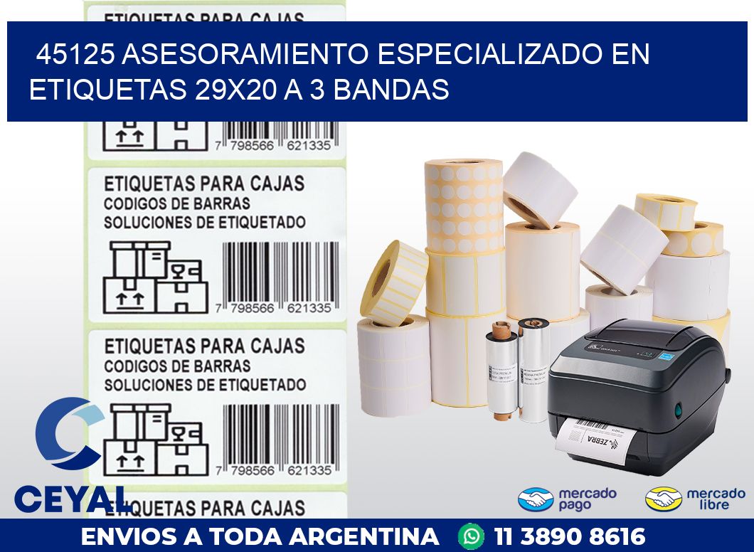 45125 ASESORAMIENTO ESPECIALIZADO EN ETIQUETAS 29X20 A 3 BANDAS