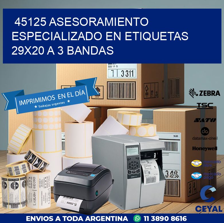 45125 ASESORAMIENTO ESPECIALIZADO EN ETIQUETAS 29X20 A 3 BANDAS