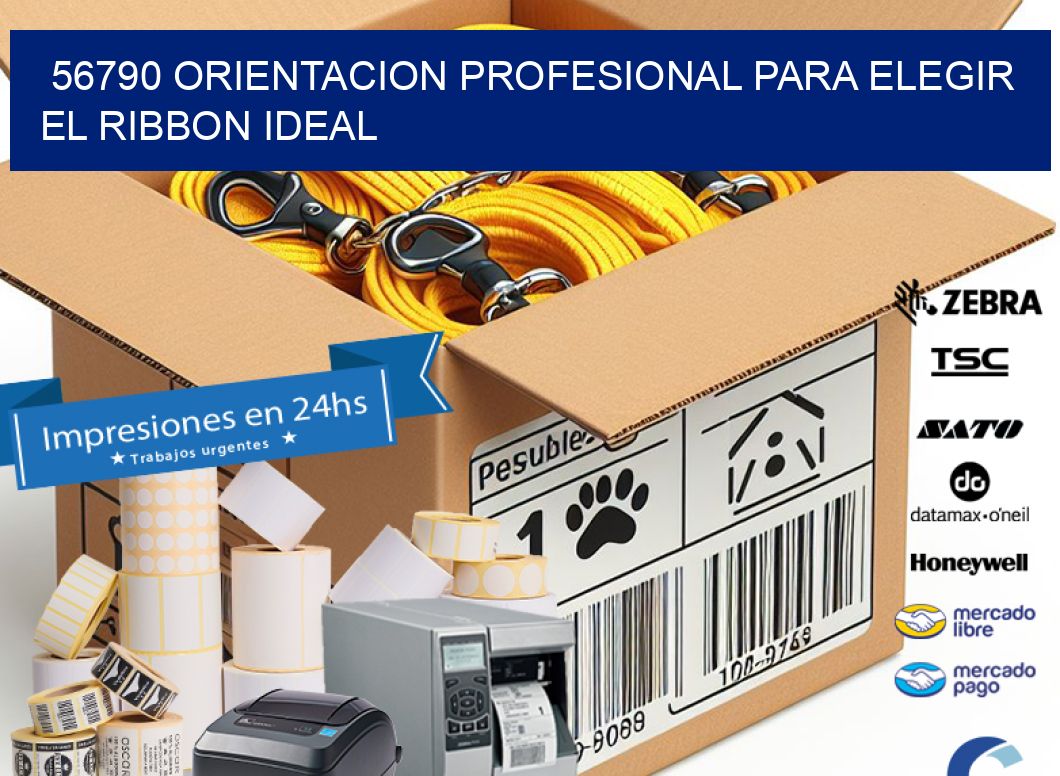 56790 ORIENTACION PROFESIONAL PARA ELEGIR EL RIBBON IDEAL