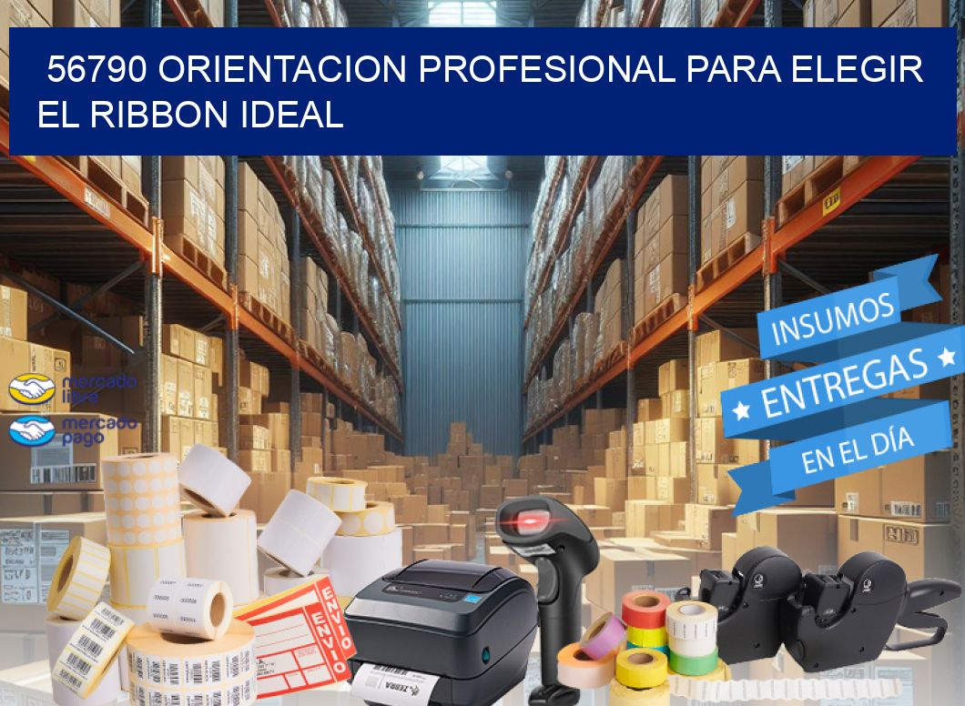 56790 ORIENTACION PROFESIONAL PARA ELEGIR EL RIBBON IDEAL