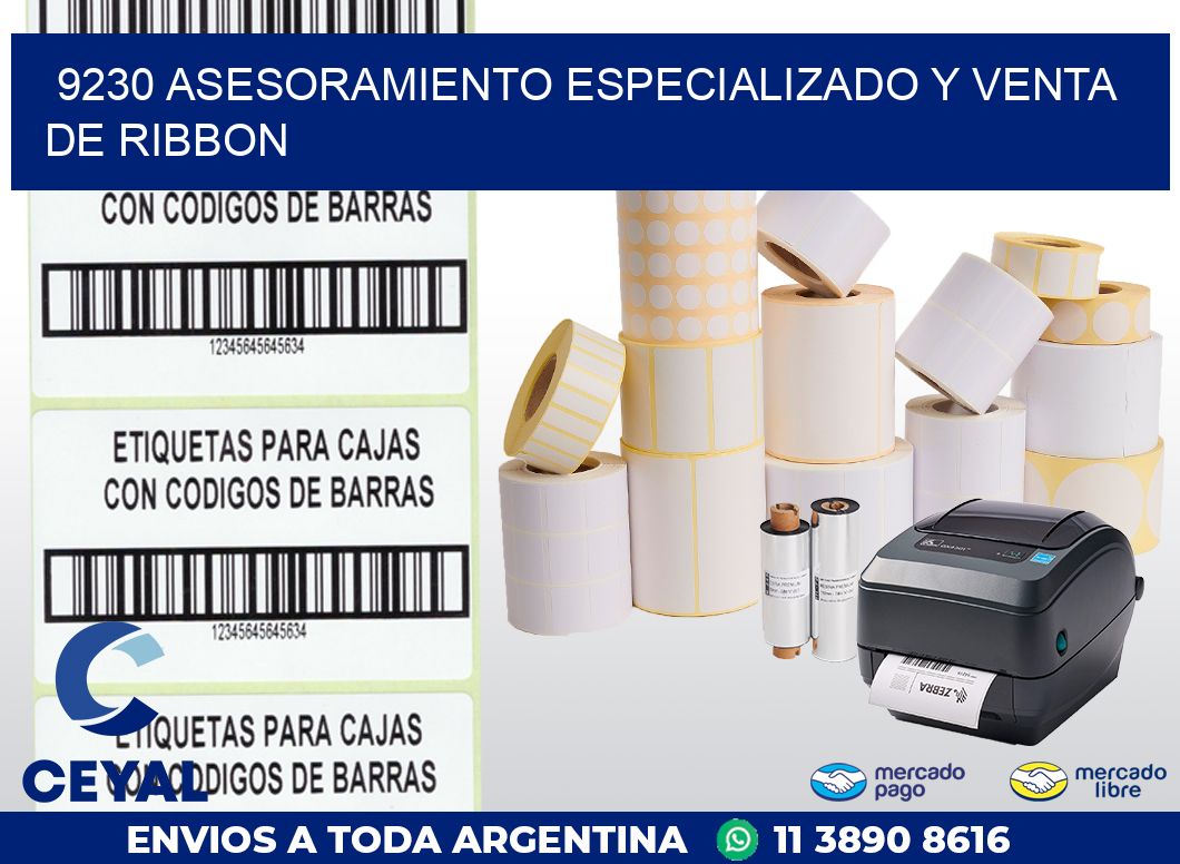 9230 ASESORAMIENTO ESPECIALIZADO Y VENTA DE RIBBON