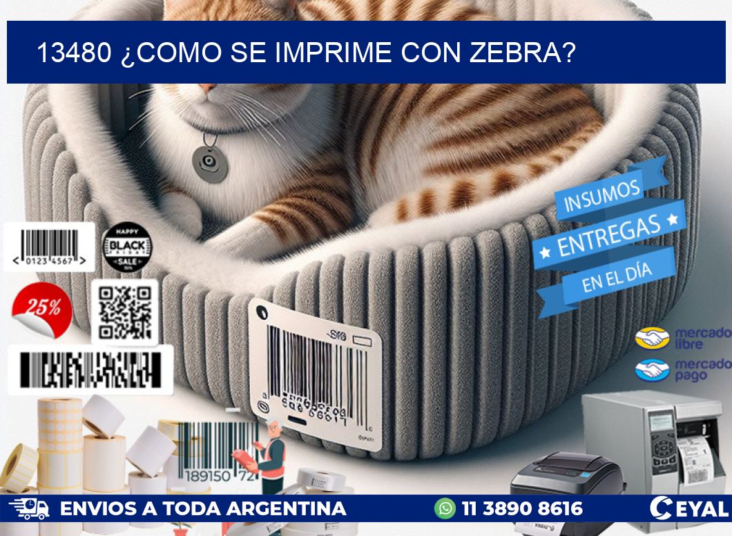 13480 ¿COMO SE IMPRIME CON ZEBRA?