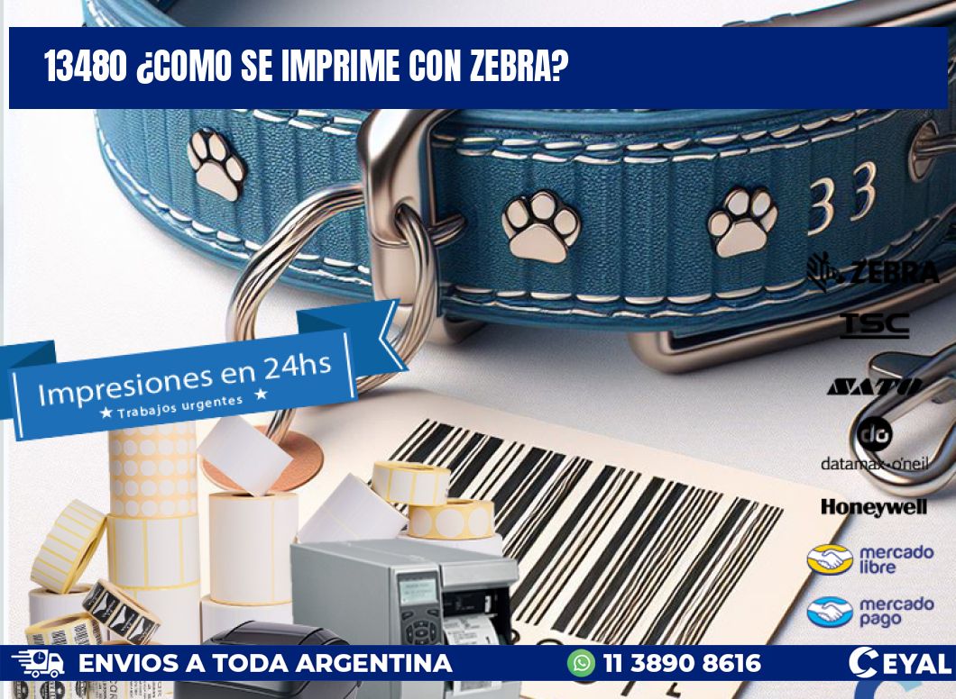 13480 ¿COMO SE IMPRIME CON ZEBRA?