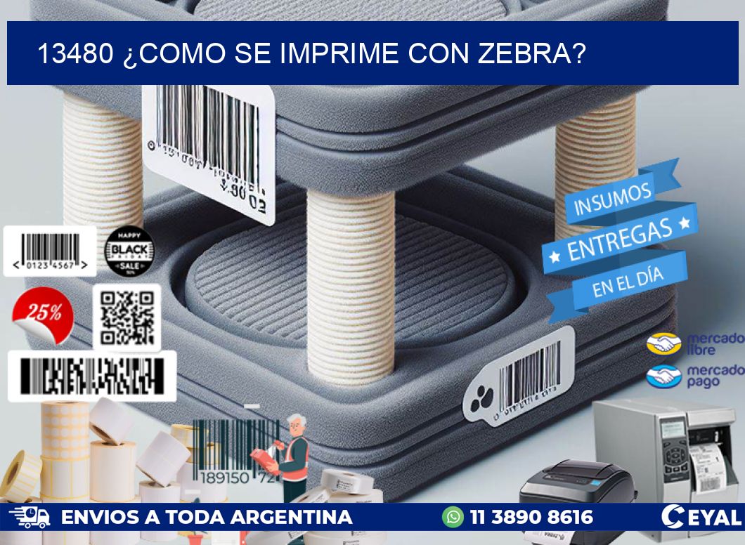 13480 ¿COMO SE IMPRIME CON ZEBRA?