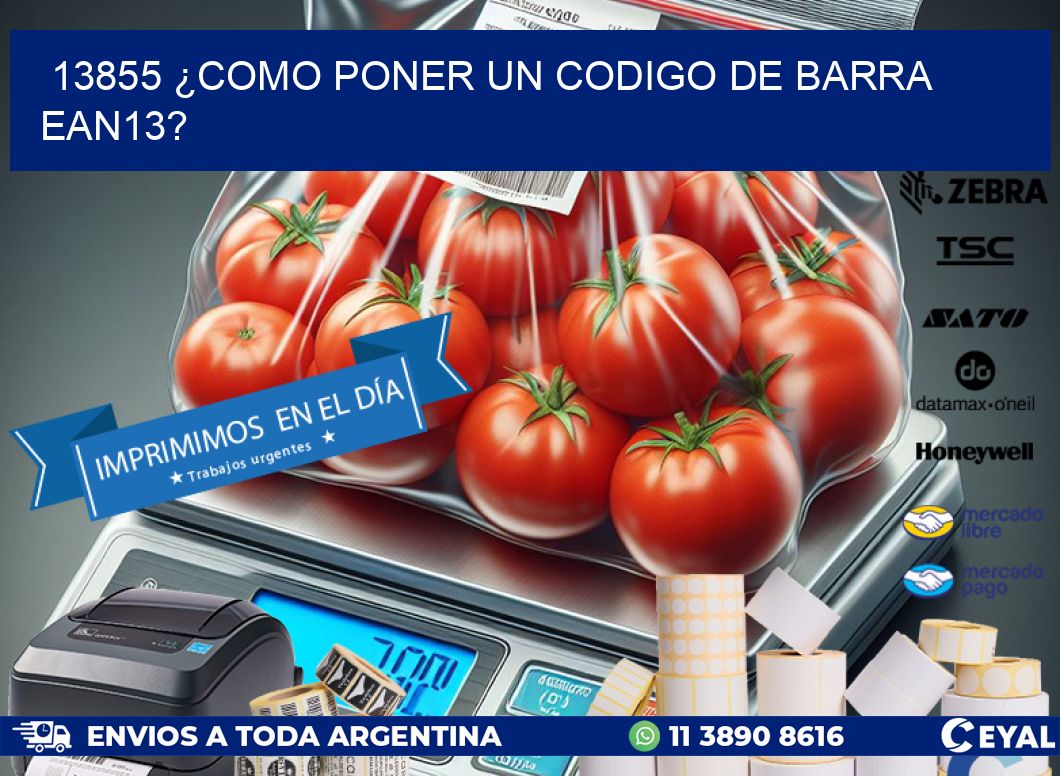 13855 ¿COMO PONER UN CODIGO DE BARRA  EAN13?