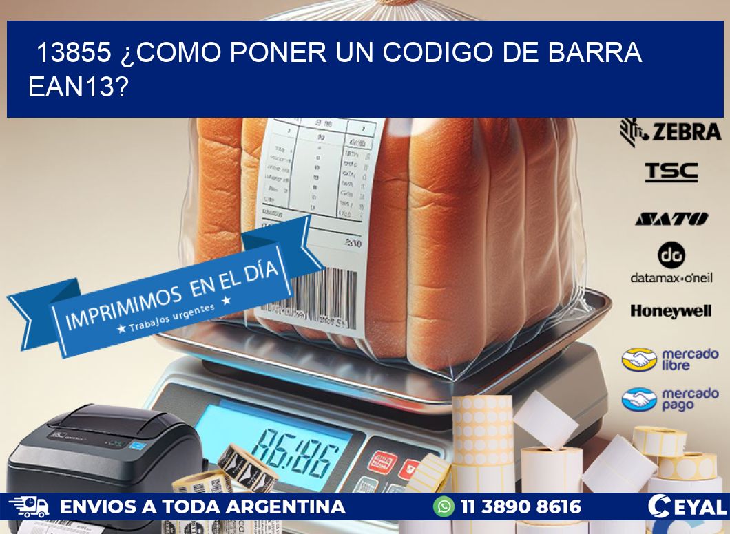 13855 ¿COMO PONER UN CODIGO DE BARRA  EAN13?