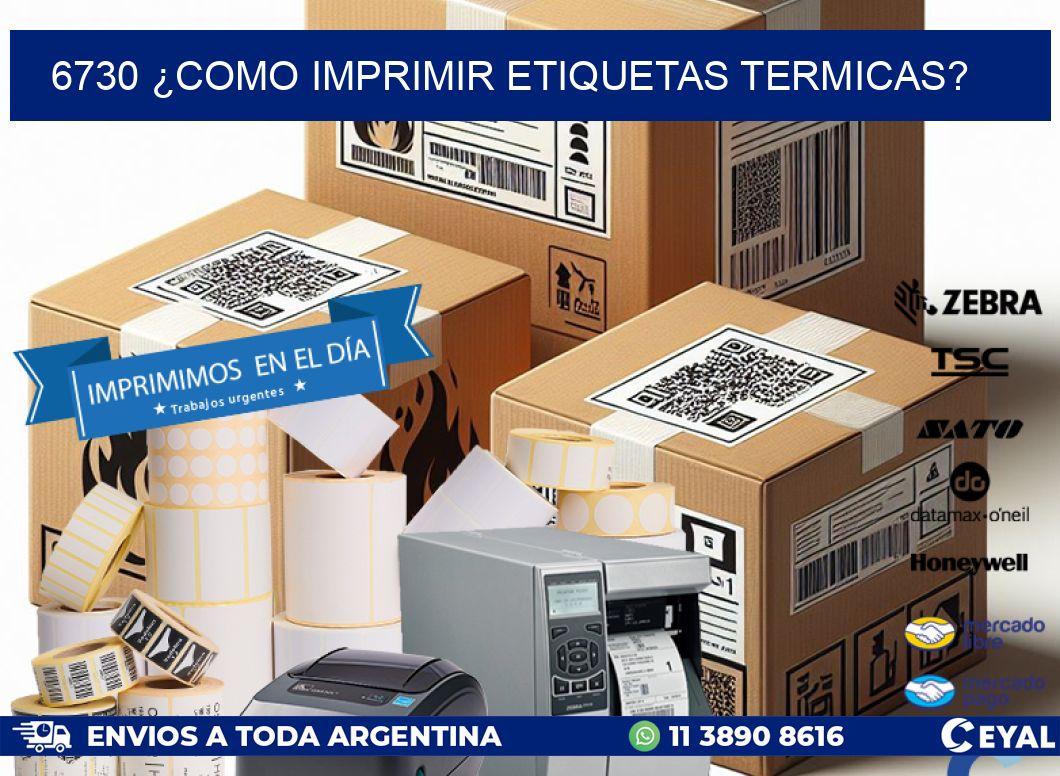 6730 ¿COMO IMPRIMIR ETIQUETAS TERMICAS?