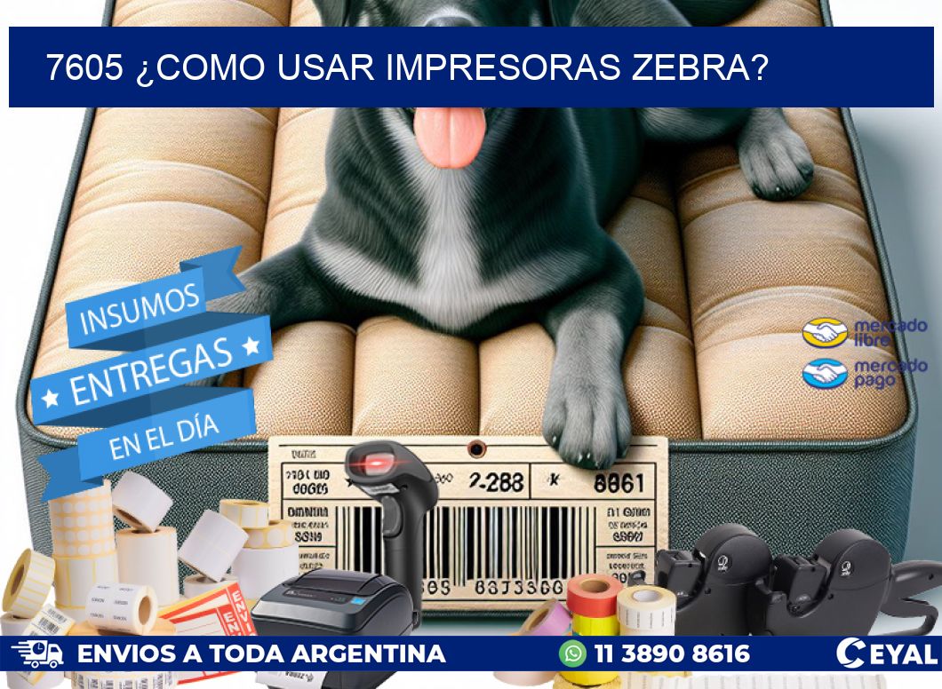 7605 ¿COMO USAR IMPRESORAS ZEBRA?