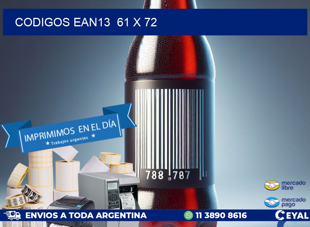 CODIGOS EAN13  61 x 72