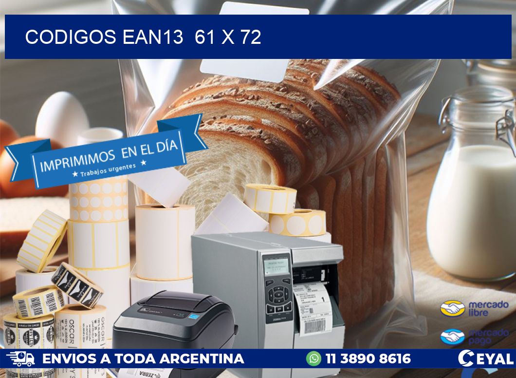 CODIGOS EAN13  61 x 72