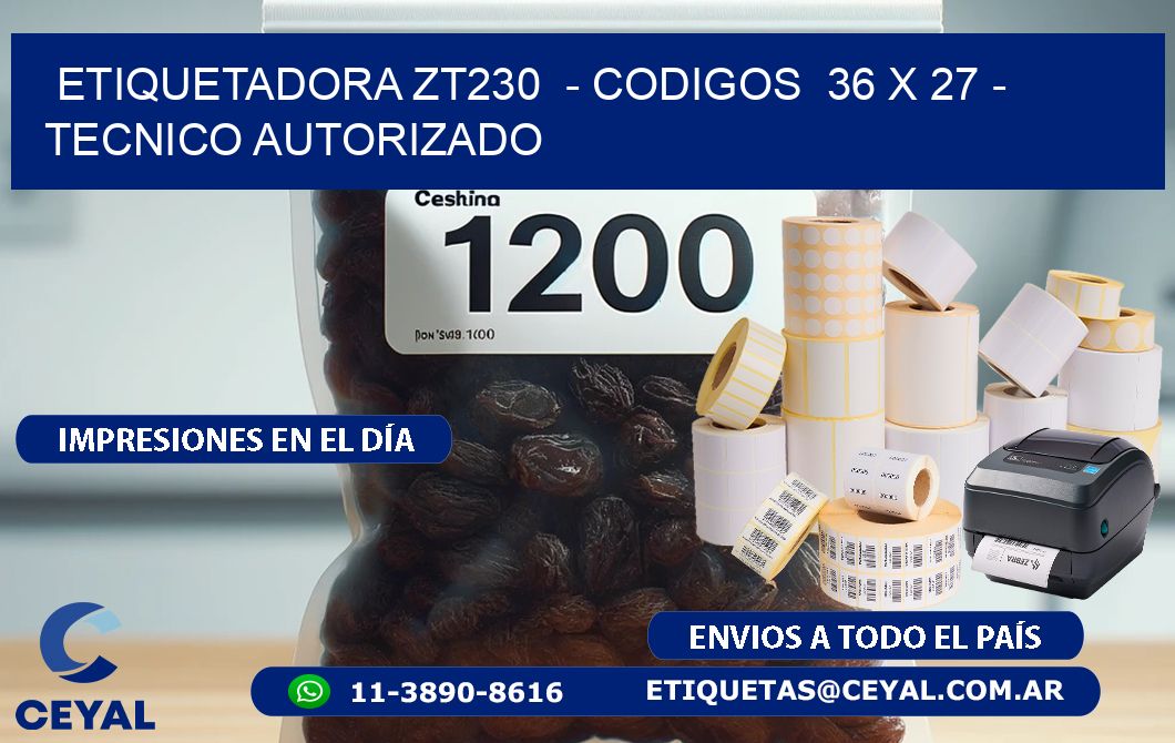 ETIQUETADORA ZT230  – CODIGOS  36 x 27 – TECNICO AUTORIZADO
