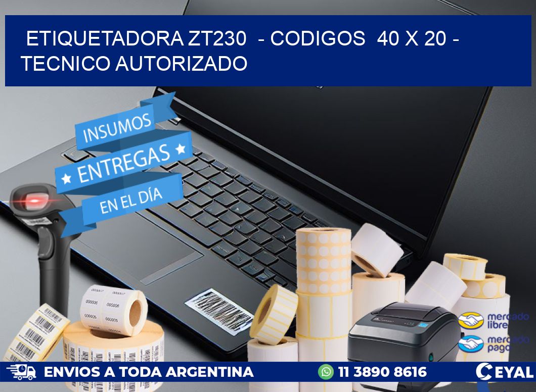 ETIQUETADORA ZT230  - CODIGOS  40 x 20 - TECNICO AUTORIZADO