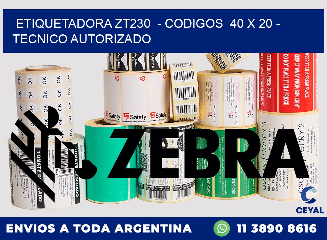 ETIQUETADORA ZT230  - CODIGOS  40 x 20 - TECNICO AUTORIZADO
