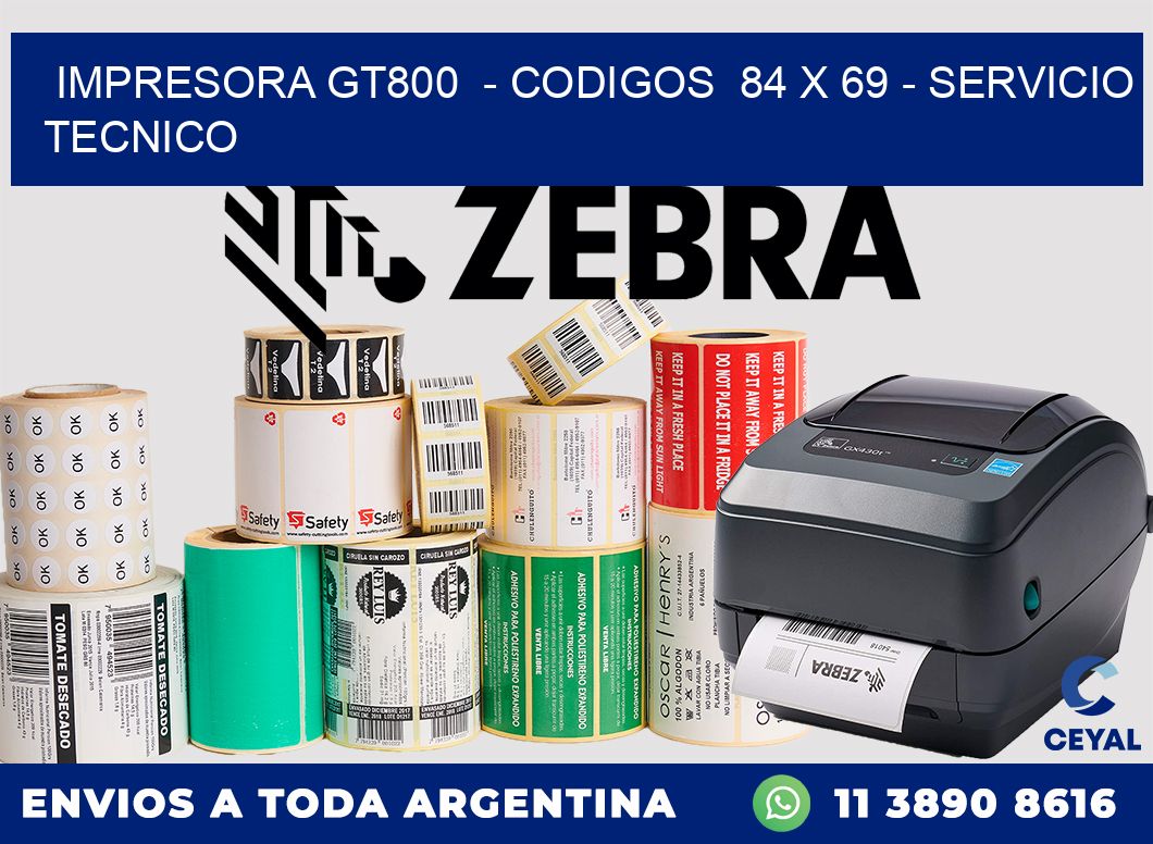 IMPRESORA GT800  - CODIGOS  84 x 69 - SERVICIO TECNICO