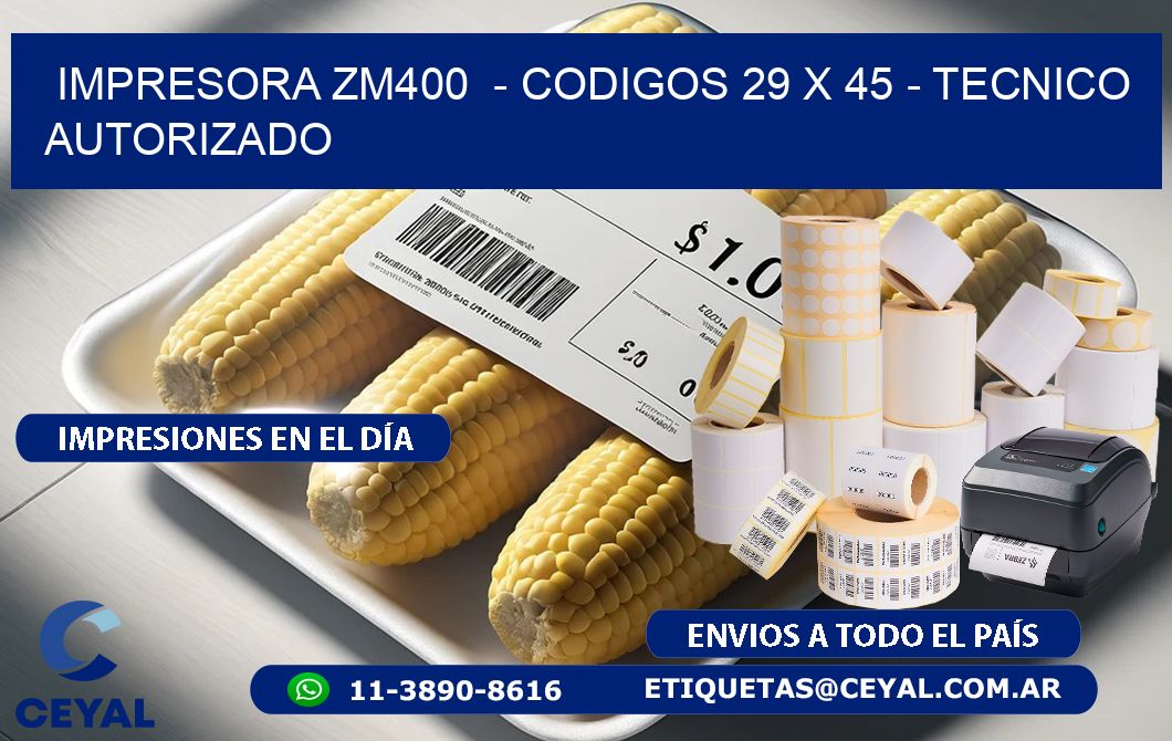 IMPRESORA ZM400  - CODIGOS 29 x 45 - TECNICO AUTORIZADO