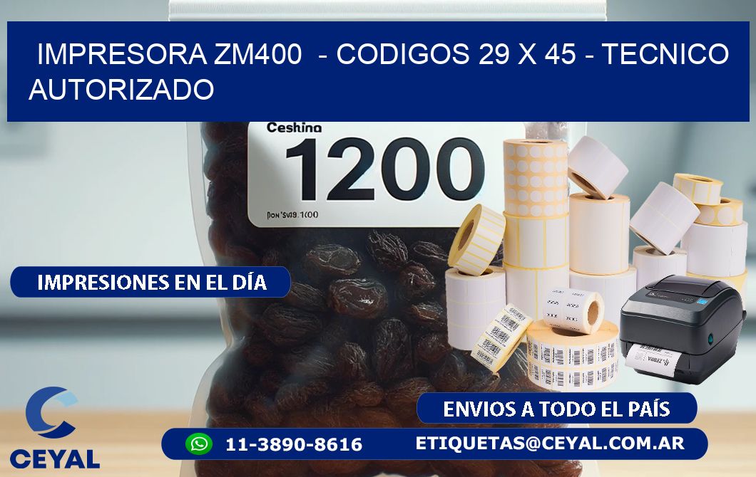 IMPRESORA ZM400  - CODIGOS 29 x 45 - TECNICO AUTORIZADO