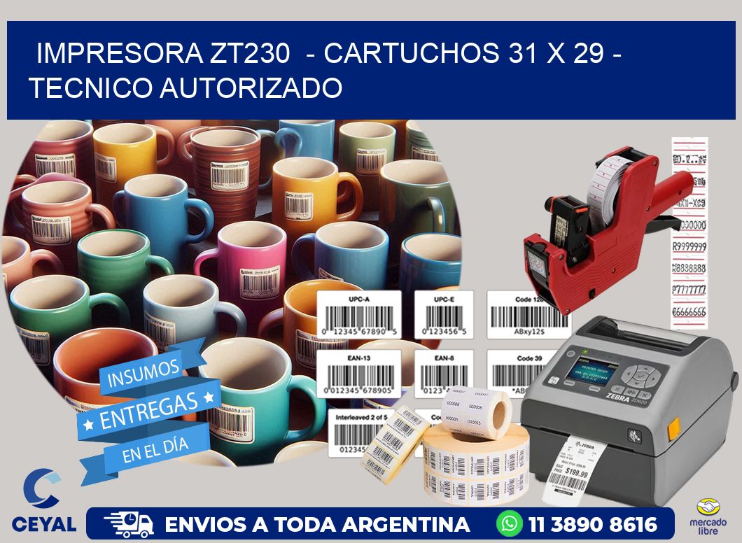 IMPRESORA ZT230 - CARTUCHOS 31 x 29 - TECNICO AUTORIZADO