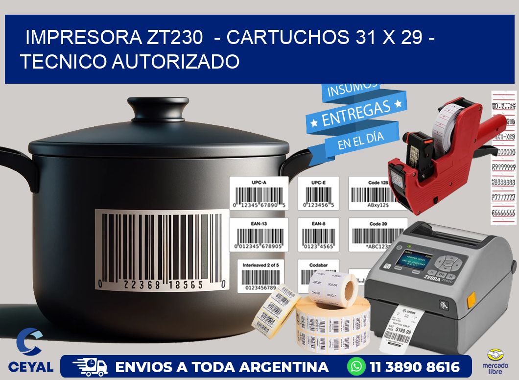 IMPRESORA ZT230 - CARTUCHOS 31 x 29 - TECNICO AUTORIZADO