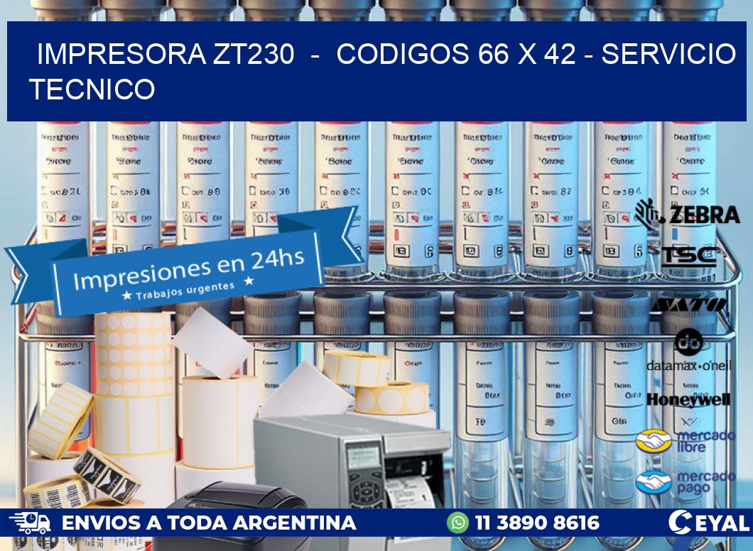 IMPRESORA ZT230  -  CODIGOS 66 x 42 - SERVICIO TECNICO