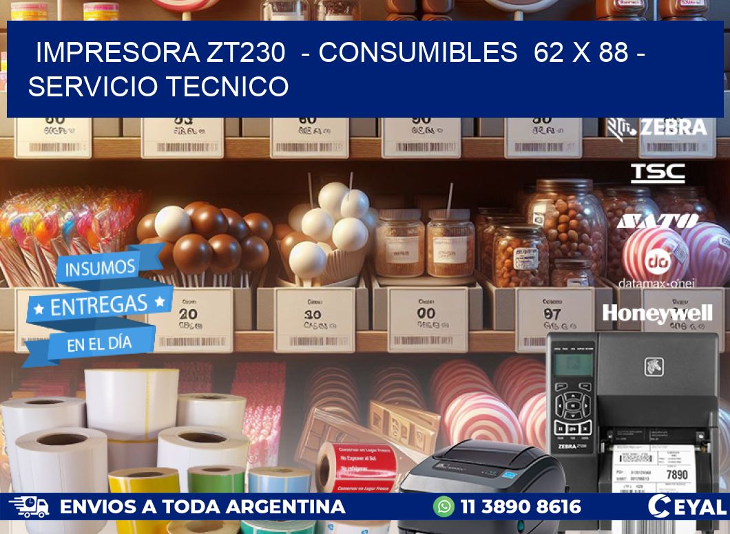IMPRESORA ZT230  - CONSUMIBLES  62 x 88 - SERVICIO TECNICO