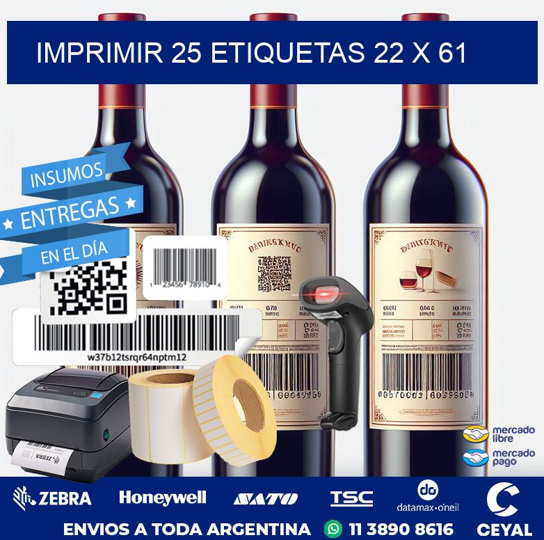 IMPRIMIR 25 ETIQUETAS 22 x 61