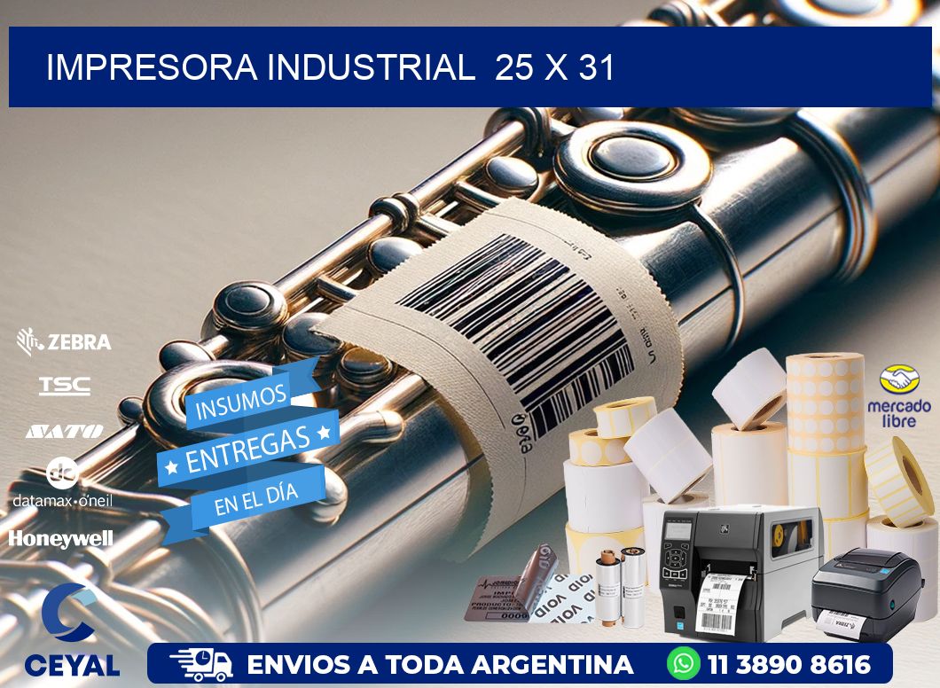 impresora industrial  25 x 31