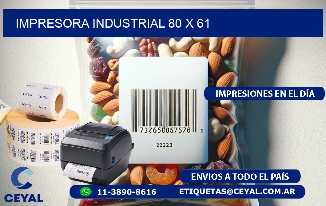 impresora industrial 80 x 61