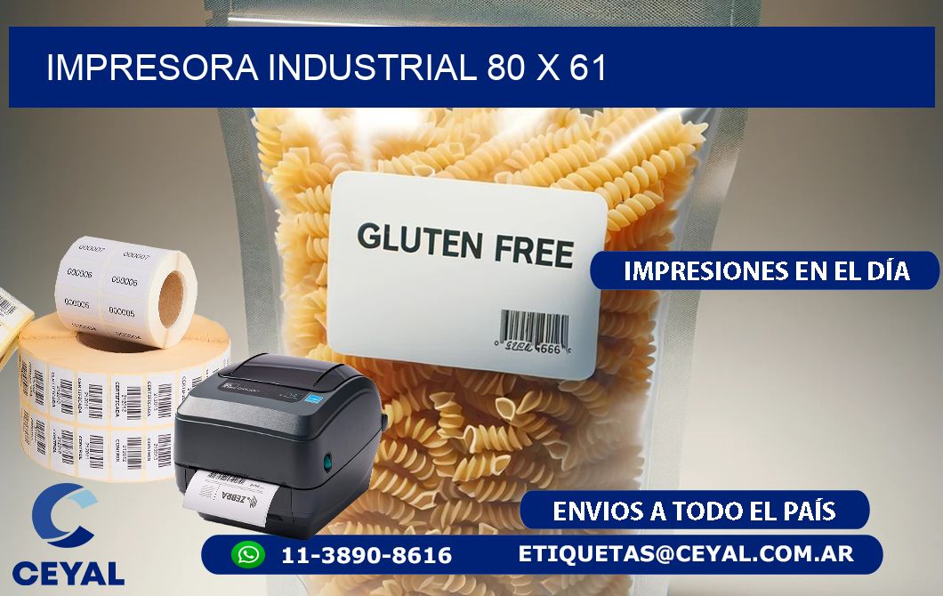 impresora industrial 80 x 61