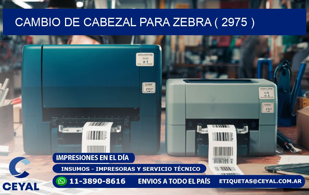 CAMBIO DE CABEZAL PARA ZEBRA ( 2975 )