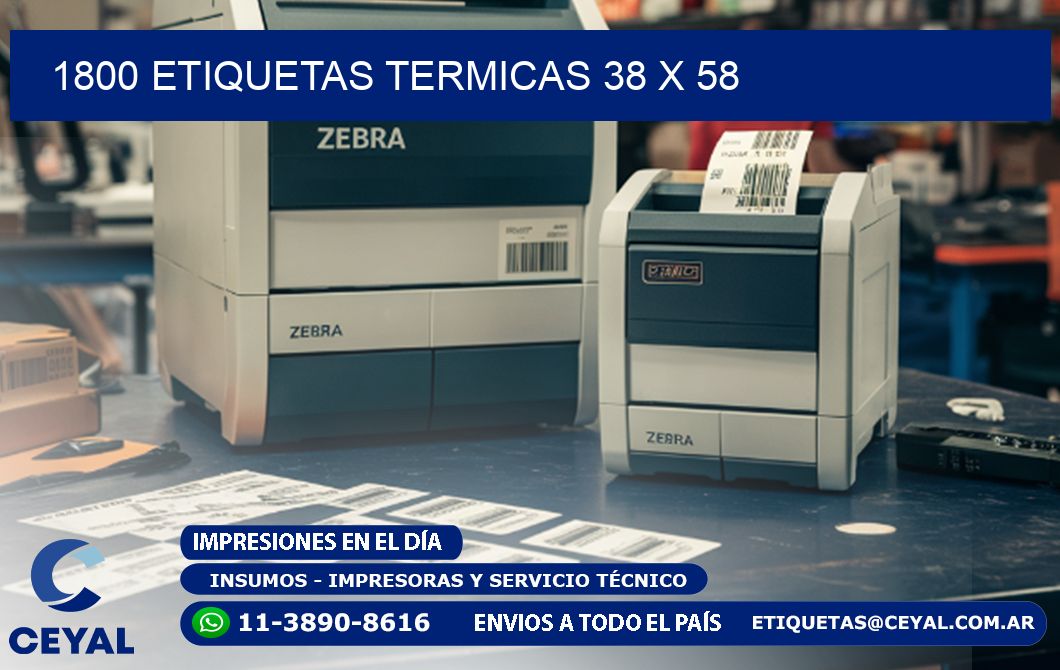 1800 ETIQUETAS TERMICAS 38 x 58
