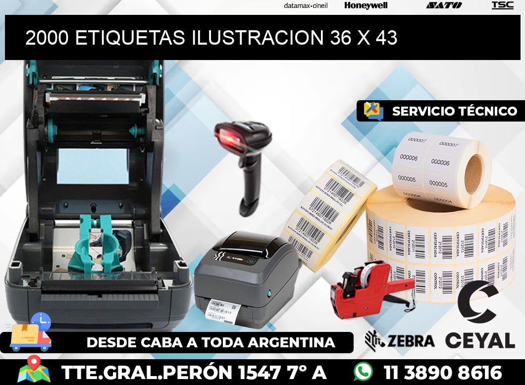 2000 ETIQUETAS ILUSTRACION 36 x 43