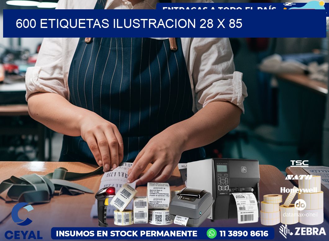 600 ETIQUETAS ILUSTRACION 28 x 85