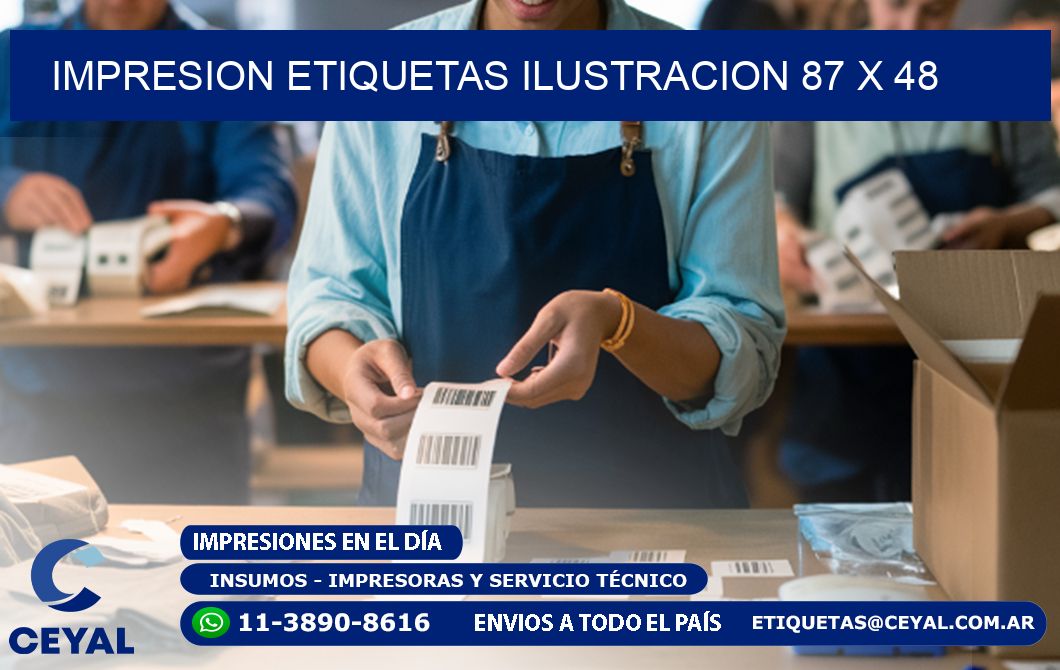 IMPRESION ETIQUETAS ILUSTRACION 87 x 48