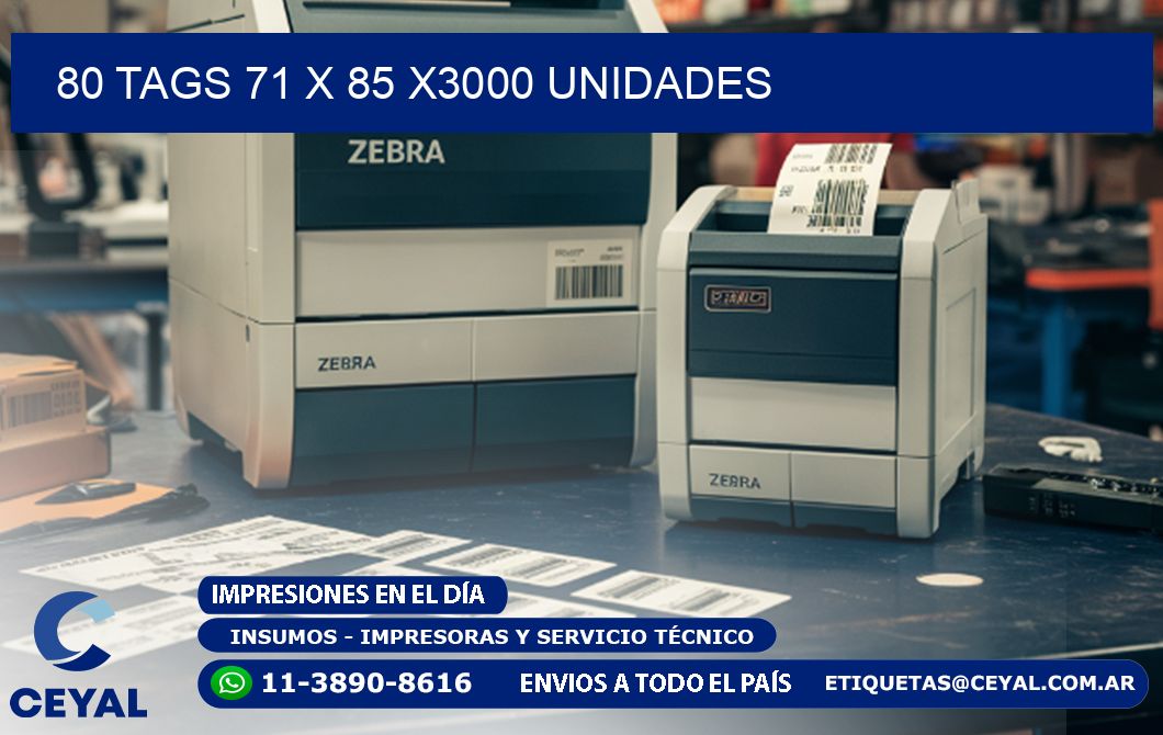 80 TAGS 71 x 85 X3000 UNIDADES