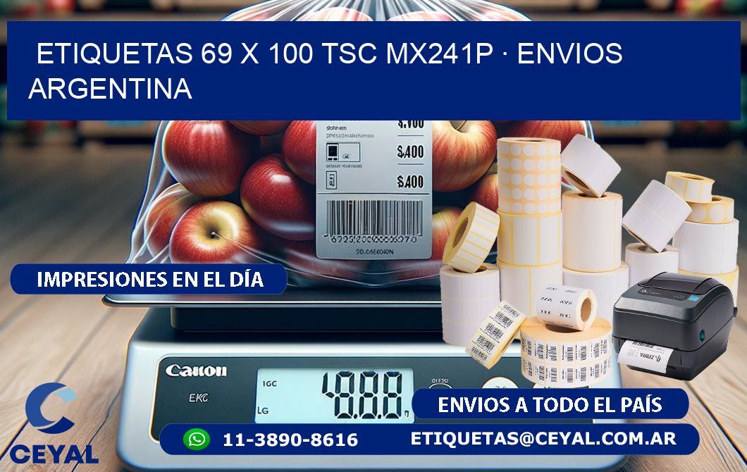 ETIQUETAS 69 x 100 TSC MX241P · ENVIOS ARGENTINA