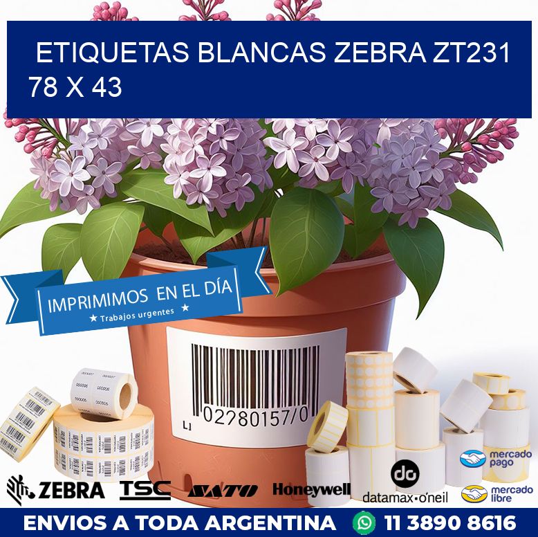 ETIQUETAS BLANCAS ZEBRA ZT231 78 x 43