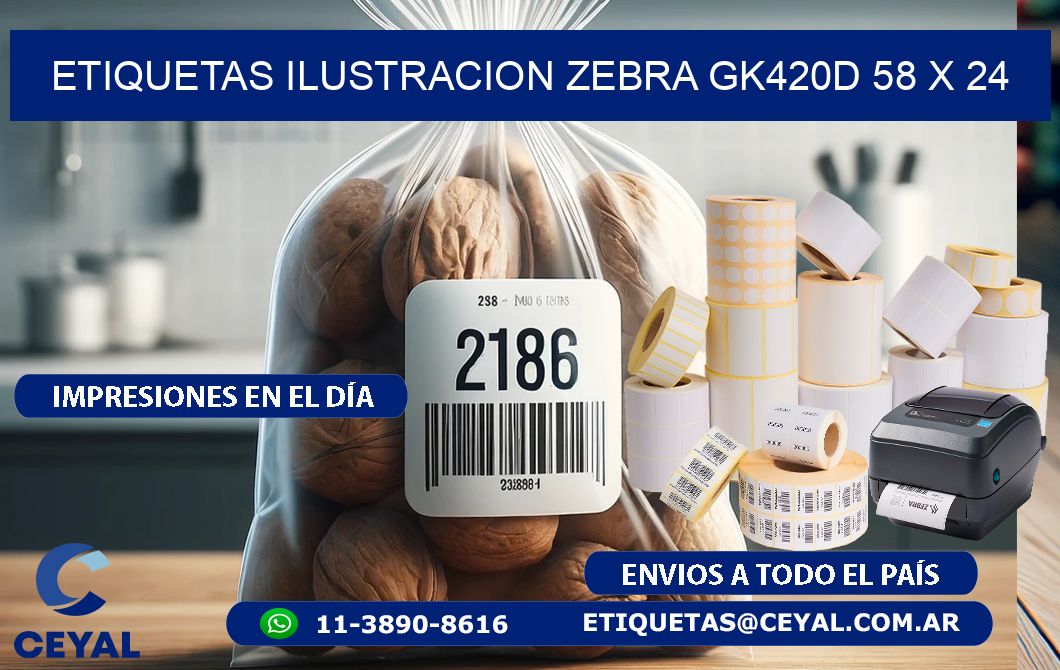 ETIQUETAS ILUSTRACION ZEBRA GK420D 58 x 24