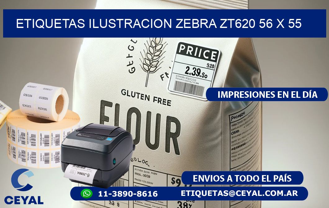 ETIQUETAS ILUSTRACION ZEBRA ZT620 56 x 55