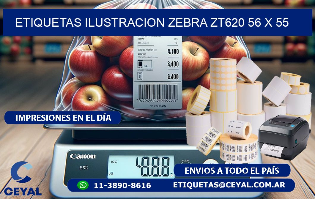 ETIQUETAS ILUSTRACION ZEBRA ZT620 56 x 55