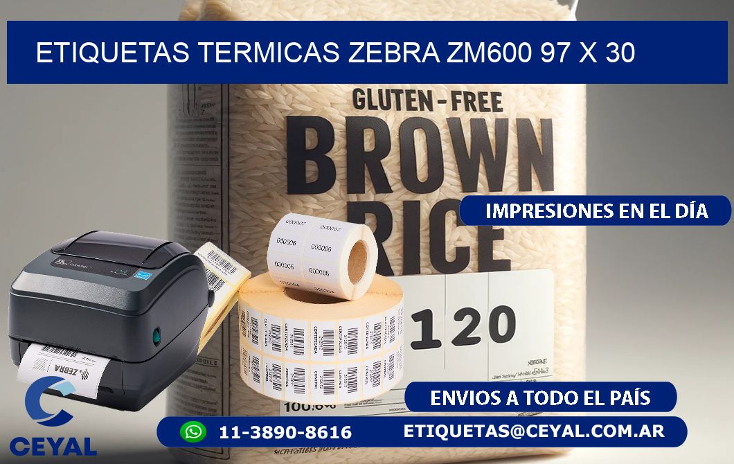 ETIQUETAS TERMICAS ZEBRA ZM600 97 x 30