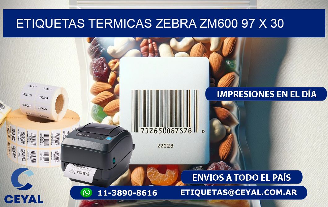 ETIQUETAS TERMICAS ZEBRA ZM600 97 x 30