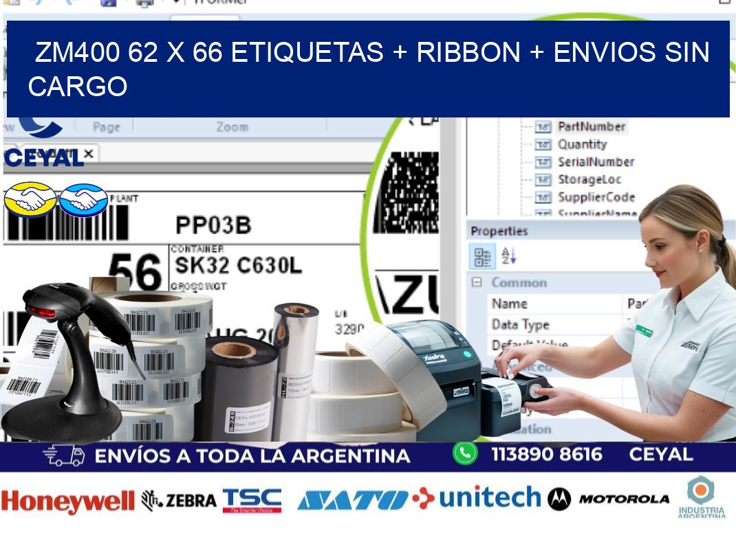 ZM400 62 x 66 etiquetas + ribbon + envios sin cargo