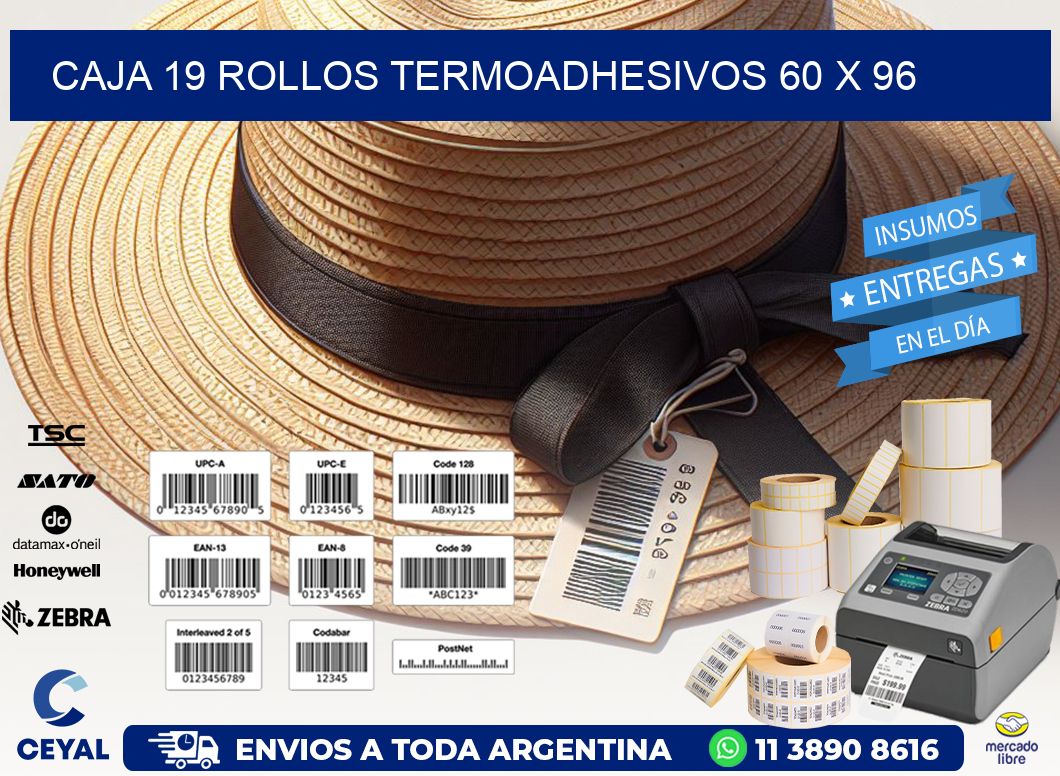 CAJA 19 ROLLOS TERMOADHESIVOS 60 x 96