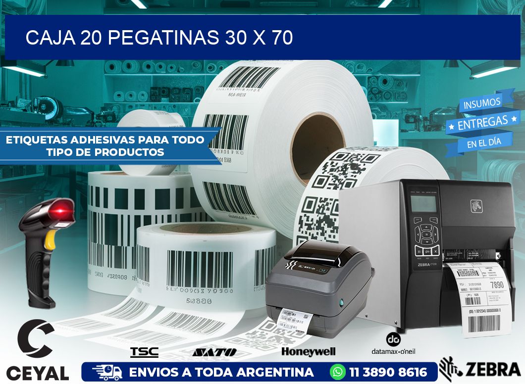 CAJA 20 PEGATINAS 30 x 70